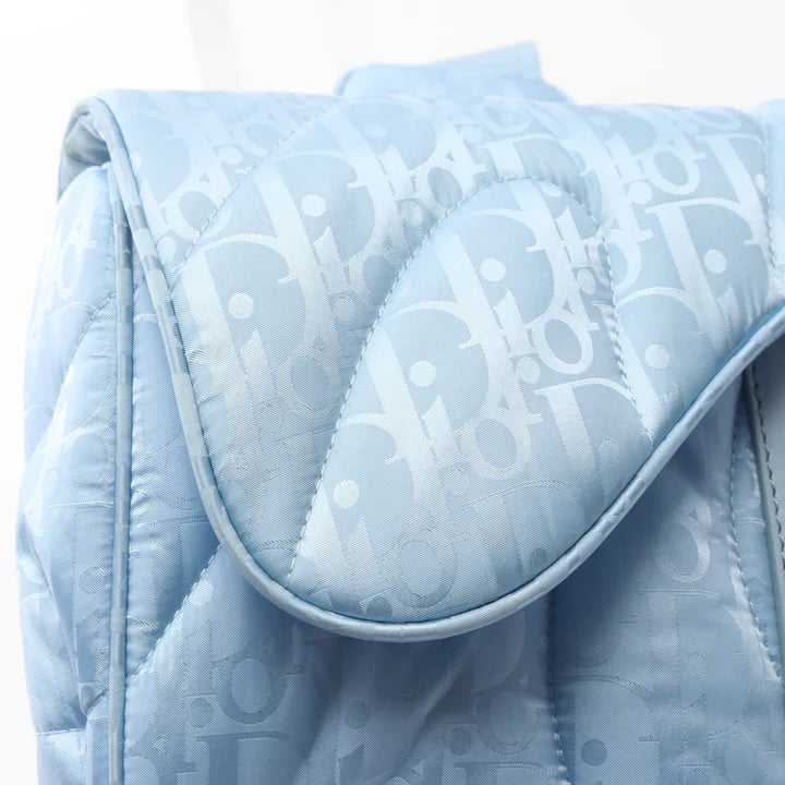 Pre-owned DIOR * ERL Saddle bag Oblique Body bag