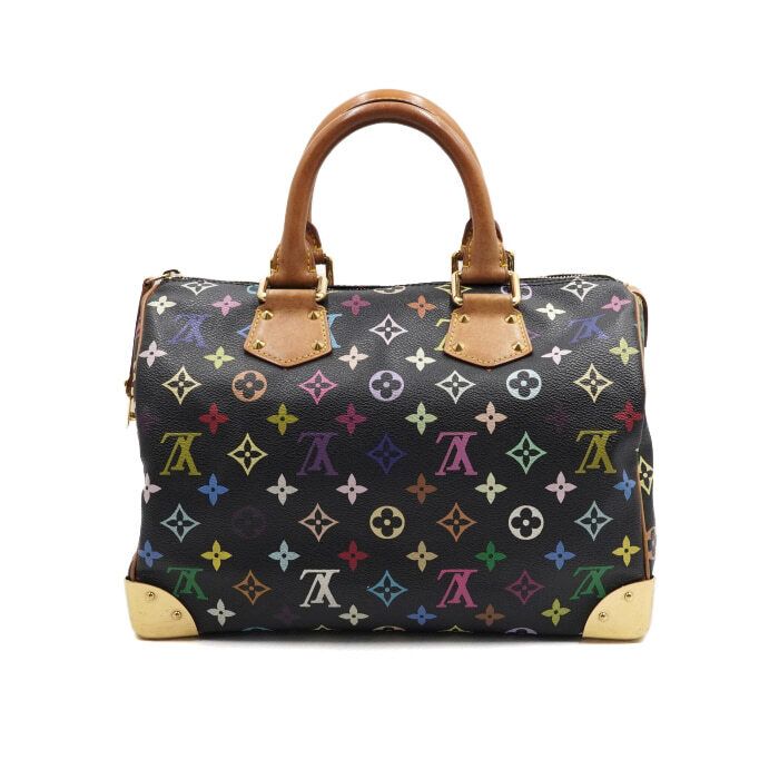 Pre-owned Louis Vuitton Speedy 30 Multicolor Noir
