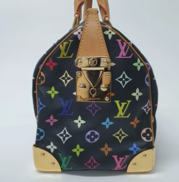 Pre-owned Louis Vuitton Noir Multicolor Speedy 30
